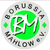Borrusia Mahlow II